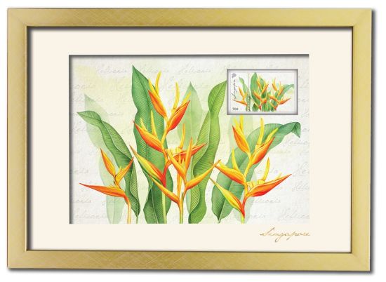 Singapore Flowers Collection - Heliconia Artprint (Framed) (CSSFMFM1)