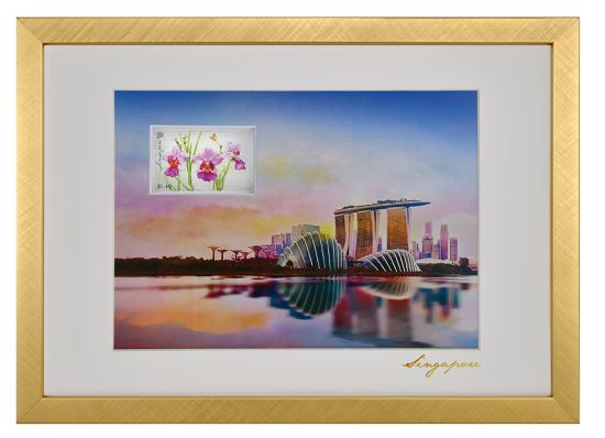 Iconic Landmarks of Singapore Collection II - Gardens By the Bay Artprint (Framed) (CSIL2FM2)