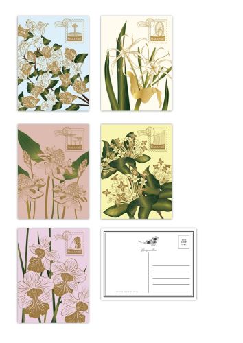 Singapore Flowers Collection II - Postcard set of 5 Design with Hotstamping (CSSF2PC6)