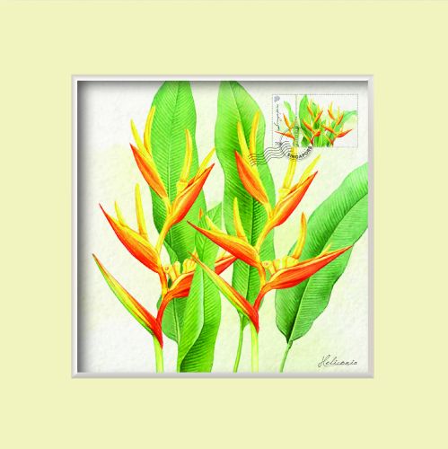 Singapore Flowers Collection - Heliconia Greeting Card (CSSFMGC4)   