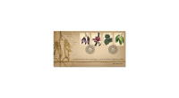 Critically Endangered Flora of Singapore - Flora of Lowland Dipterocarp Forests FDC with Stamps (CSB24PF)*PRE-ORDER*