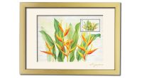 Singapore Flowers Collection - Heliconia Artprint (Framed) (CSSFMFM1)