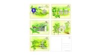 Herbs and Spices MyStamp Collection - Postcard set of 5 designs (PCHNSPC6) 