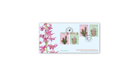 Singapore- Brunei Darussalam commemorative cover (consists of Singapore & Brunei Darussalam stamps and datestamp) (CSS24SPF) PRE-ORDER