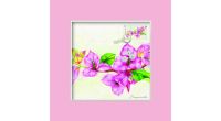 Singapore Flowers Collection - Bougainvillea Greeting Card (CSSFMGC1)