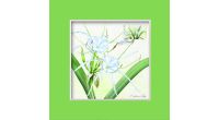 Singapore Flowers Collection - Spider Lily Greeting Card (CSSFMGC2)        