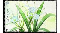 Singapore Flowers Collection - Spider Lily Magnet (CSSFMMG2)