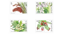 Critically Endangered Flora of Singapore - Flora of Singapore's Freshwater Swamp Forests Complete Set (CSF23AST)