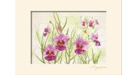 Singapore Flowers Collection - Vanda Miss Joaquim Artprint (CSSFMPF3)