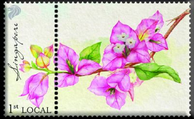 Singapore Flowers Collection - Bougainvillea Magnet (CSSFMMG1)