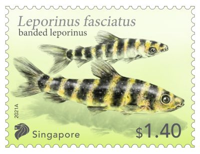 Tetra Fish Postage Stamp - sheet of 10 Stamps