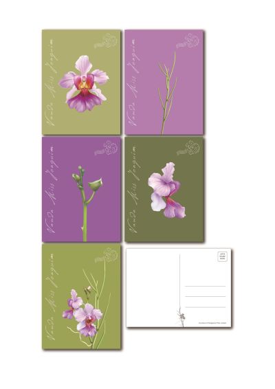 Vanda Ms Joaquim Collection - Postcard set of 5 Design (PCMJQSET) 