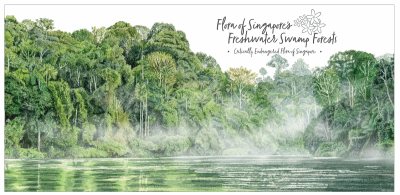 Critically Endangered Flora of Singapore - Flora of Singapore's Freshwater Swamp Forests Presentation Pack (CSF23PR) 