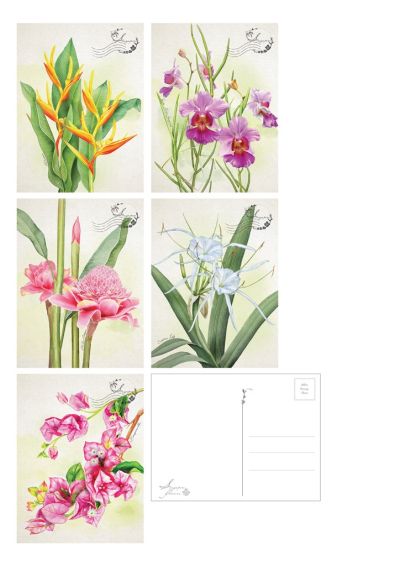 Singapore Flowers Postcard set of 5 design (CSSFMPC6)