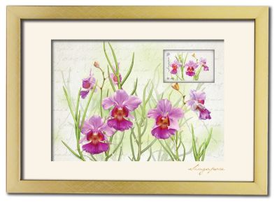 Singapore Flowers Collection - Vanda Miss Joaquim Artprint (Framed) (CSSFMFM3)