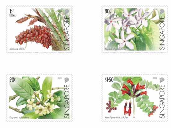 Critically Endangered Flora of Singapore - Flora of Singapore's Freshwater Swamp Forests Complete Set (CSF23AST)