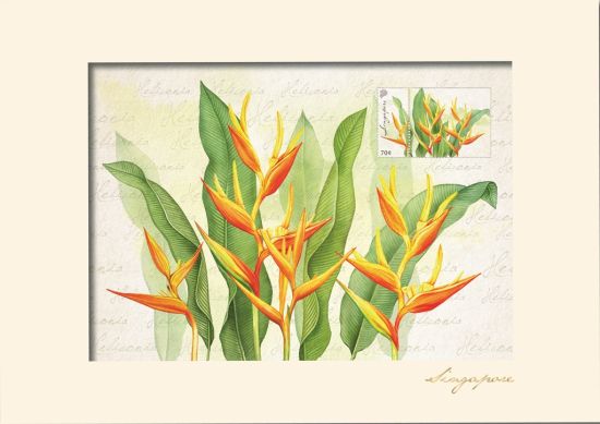Singapore Flowers Collection - Heliconia Artprint (CSSFMPF1)