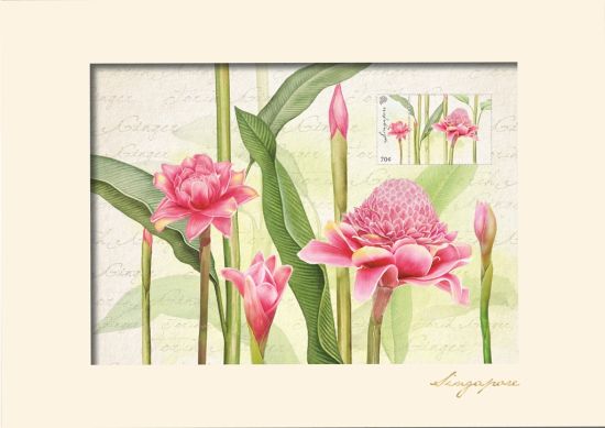 Singapore Flowers Collection - Torch Ginger Artprint (CSSFMPF2)